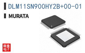 DLM11SN900HY2B+00-01