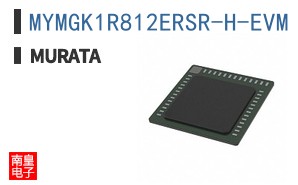 MYMGK1R812ERSR-H-EVM