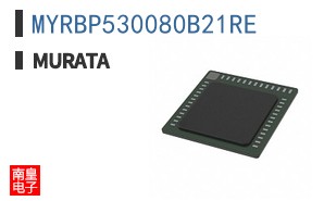 MYRBP530080B21RE ͼƬ