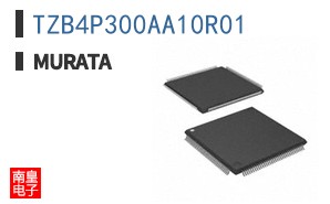 TZB4P300AA10R01