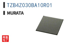 TZB4Z030BA10R01