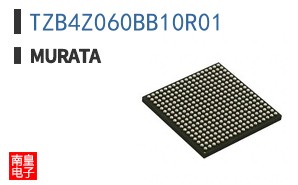 TZB4Z060BB10R01