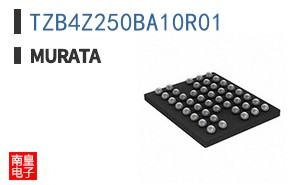 TZB4Z250BA10R01 ͼƬ