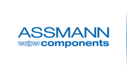 ASSMANN