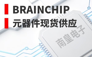 Brainchip����