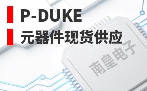 P-DUKE����