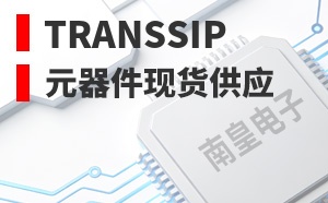 TransSiP����